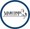 Marconi Stallions