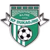 KF Dukagjini