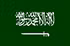Saudi Pro League