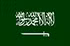 Logo of Saudi Arabia