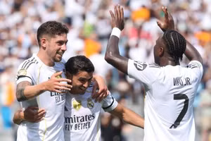 Tottenham chuyển hướng sang ngôi sao khác của Real Madrid sau khi lỡ cơ hội với Rodrygo