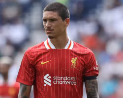 AC Milan chuyển hướng sang tiền đạo Liverpool sau khi đàm phán với Napoli đổ vỡ