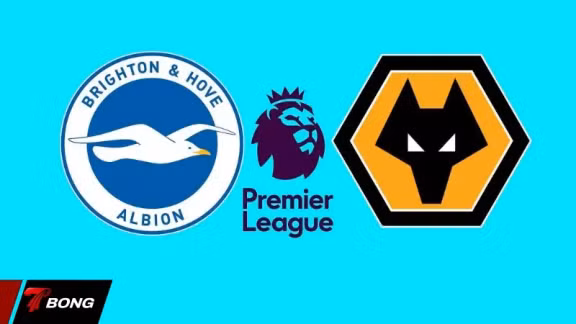 Brighton vs Wolves: Cơ hội vàng cho thầy trò Fabian Hurzeler