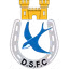 Dungannon Swifts