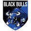 Black Bulls