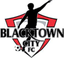 Blacktown City Demons