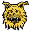 Ilves Tampere II