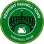 Newport Pagnell Town