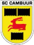 SC Cambuur Leeuwarden
