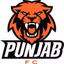 Minerva Punjab