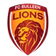FC Bulleen Lions