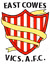 East Cowes Victoria Athletic