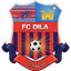 Dila Gori