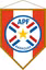 Paraguayan Cup