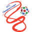 Picture for GCC Champions League