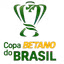 Picture for Brazilian Cup