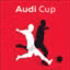 Picture for German Audi Cup
