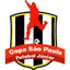 Picture for Brazilian Youth Cup