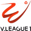 Picture for V League