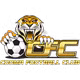Cooma Tigers