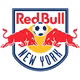 New York Red Bulls B