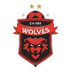 Wollongong Wolves U20
