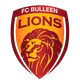 FC Bulleen Lions