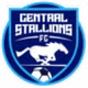Central Stallions